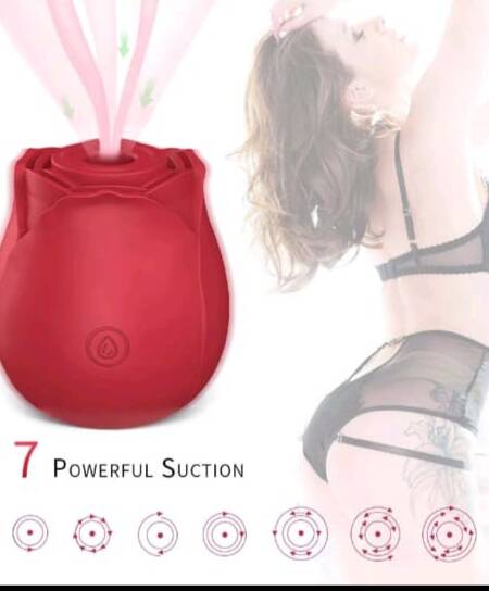 Euphoria Rose: Rose Vibrator-Elegant and Powerful Intimate Massager